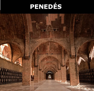 De Enoturismo por el Penedés